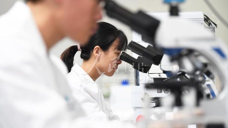 CDMO客户定制服务：医药研发的精准合作伙伴