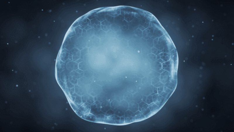 培养基pH值调节：精准控制，助力细胞培养成功**