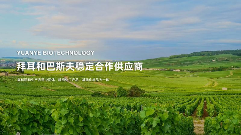 细胞工厂生产资质审批，合规之路的关键要素