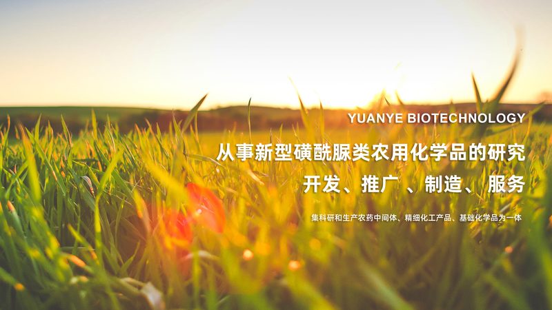 CDMO项目合作流程：揭秘医药研发背后的高效协作