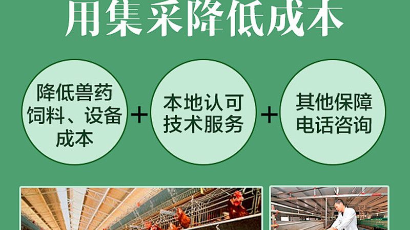 CRS实施流程：揭秘生物制药研发的关键步骤