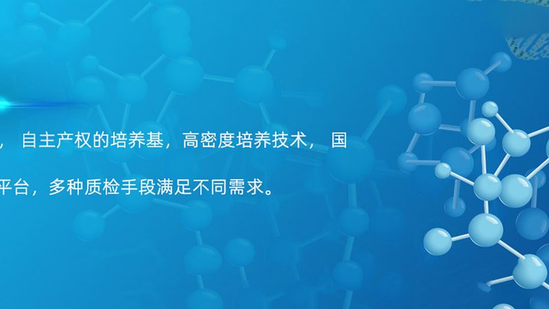 干细胞培养基：揭秘其背后的科学原理与选择要点