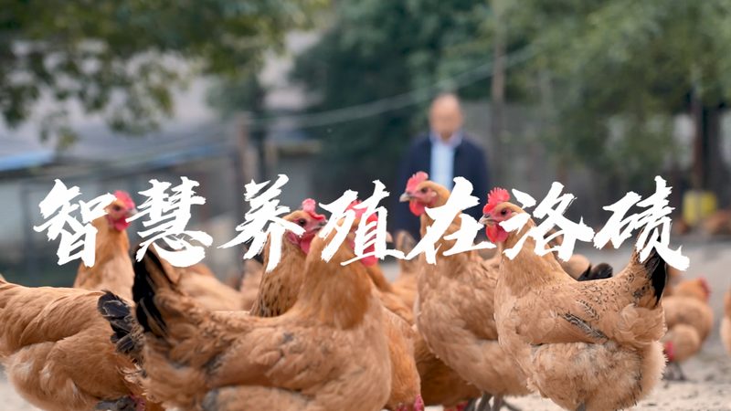 PCR检测试剂：揭秘批发价格的背后