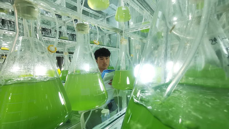 一次性与可重复使用：细胞工厂设备选型的关键考量**
